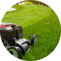 Professionelle Gartenpflege in Ibbenbüren & Umgebung
